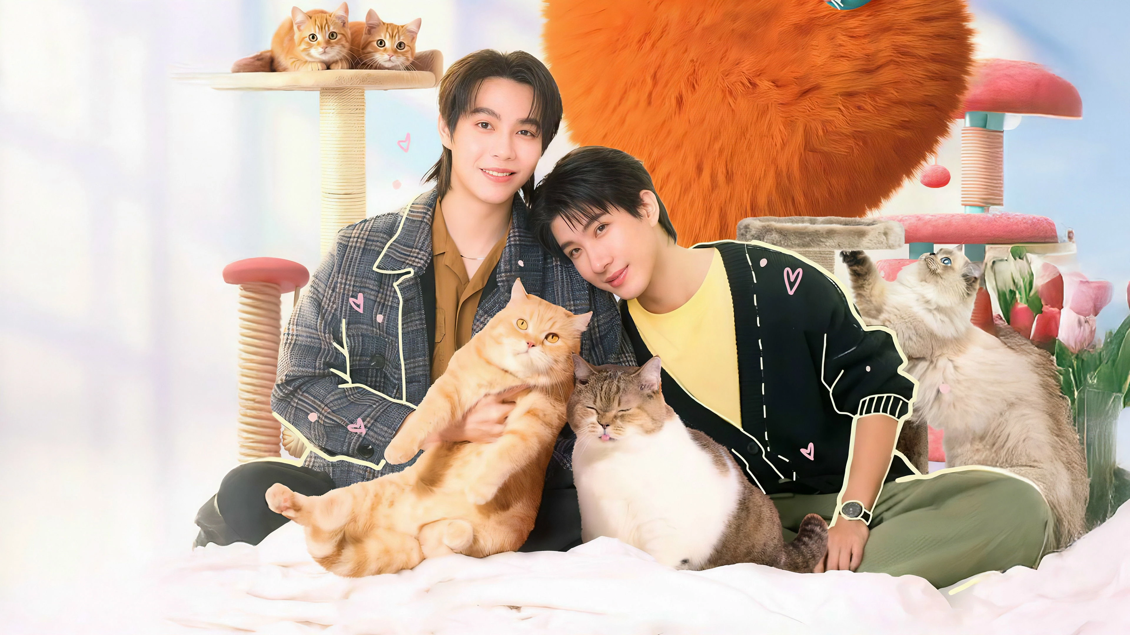 Phim Đổi Tình Lấy Mèo - Cat For Cash (2026)