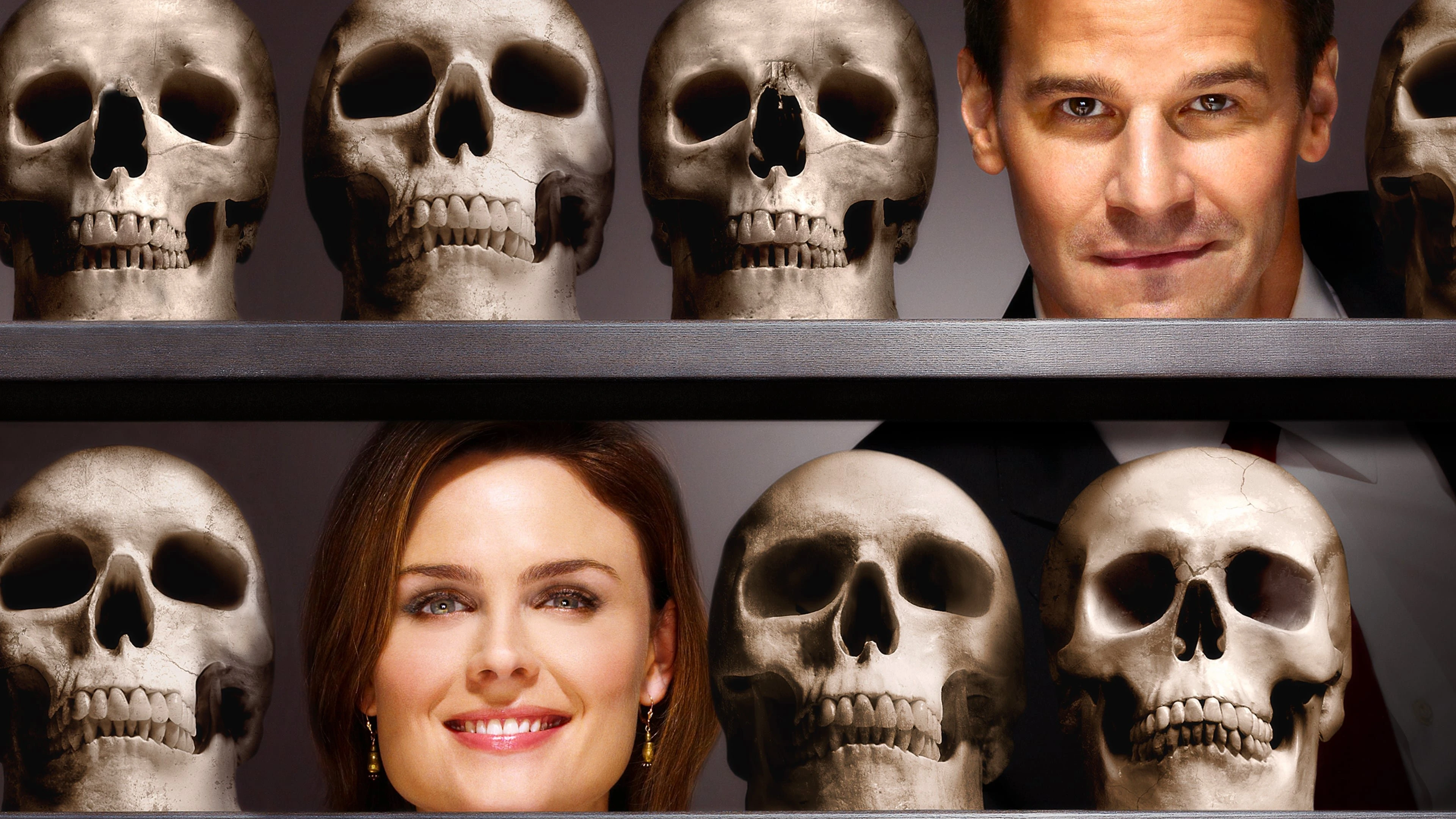 Phim Hài Cốt (Phần 7) - Bones (Season 7) (2011)