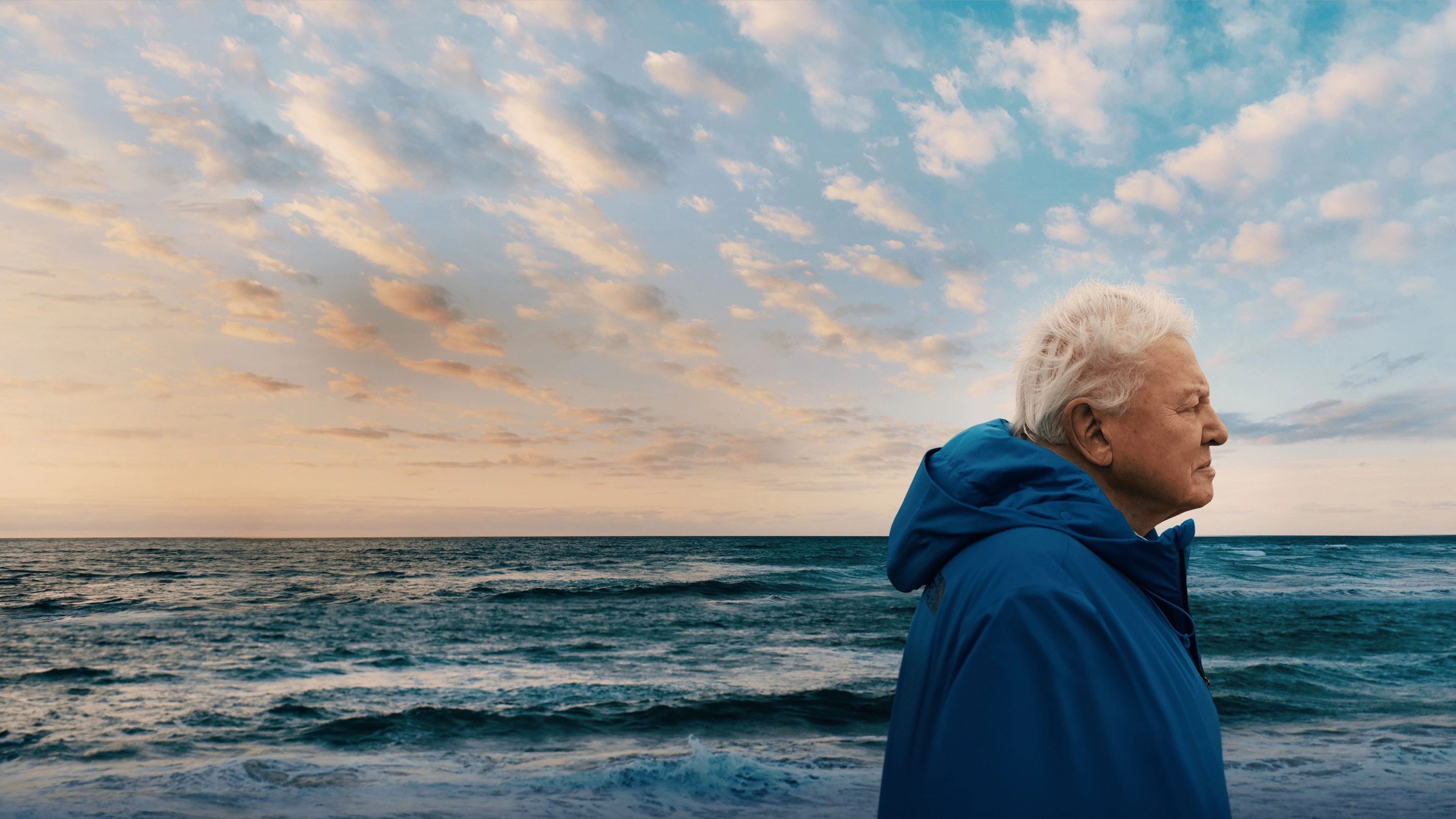 Phim Ocean with David Attenborough - Ocean with David Attenborough (2025)