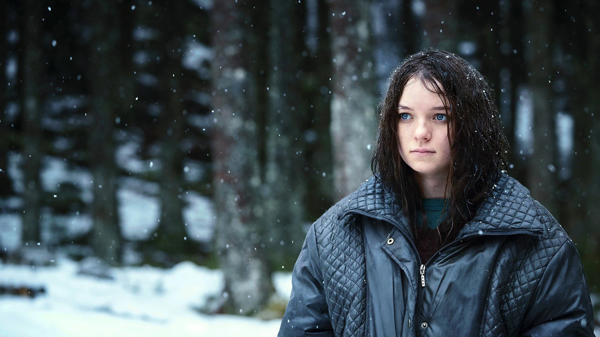 Phim Sát Thủ Hanna (Phần 2) - Hanna (Season 2) (2020)