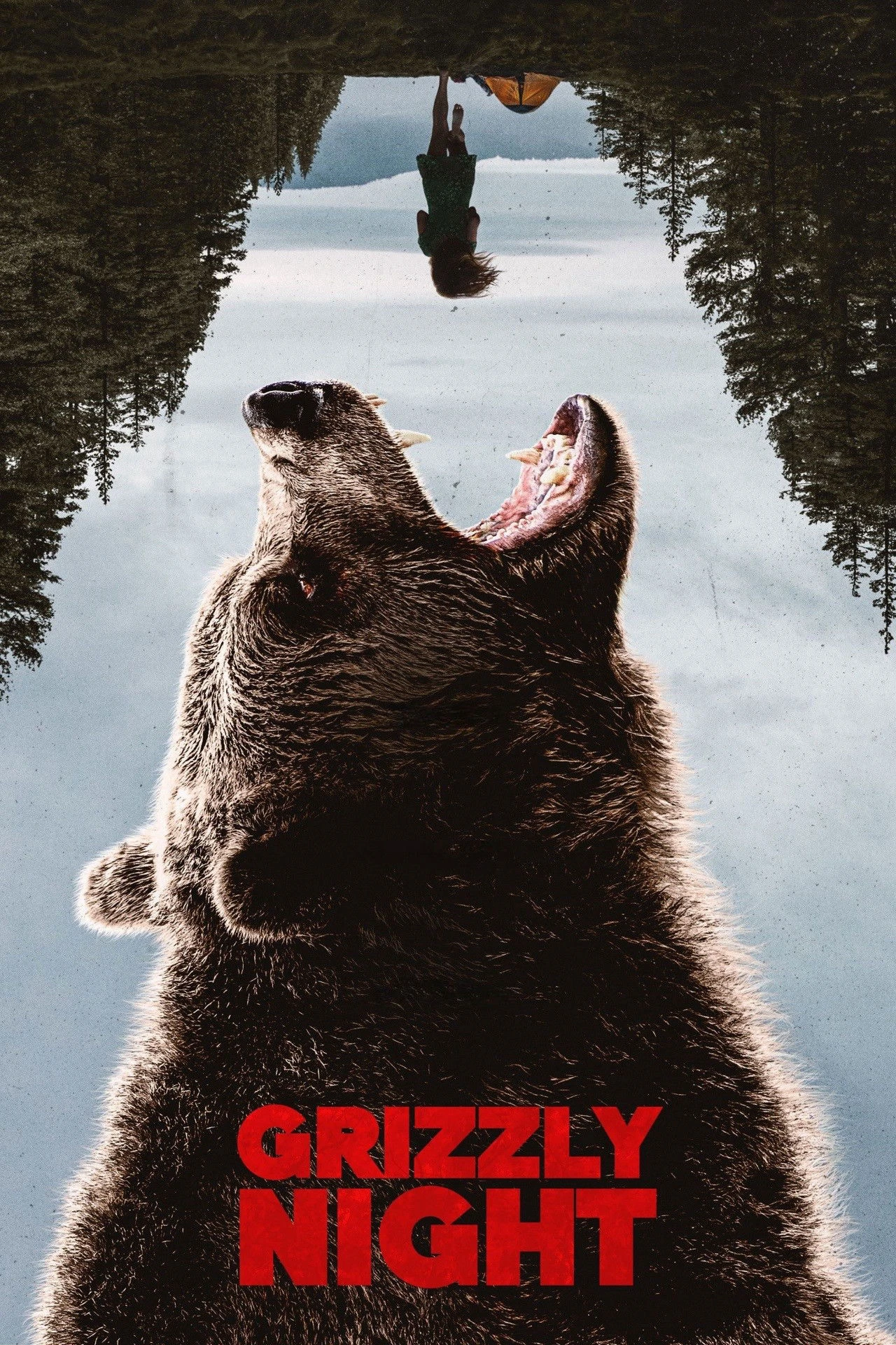 Phim Thảm Kịch Gấu Nâu - Grizzly Night (2026)